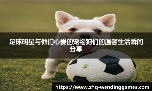 足球明星与他们心爱的宠物狗们的温馨生活瞬间分享